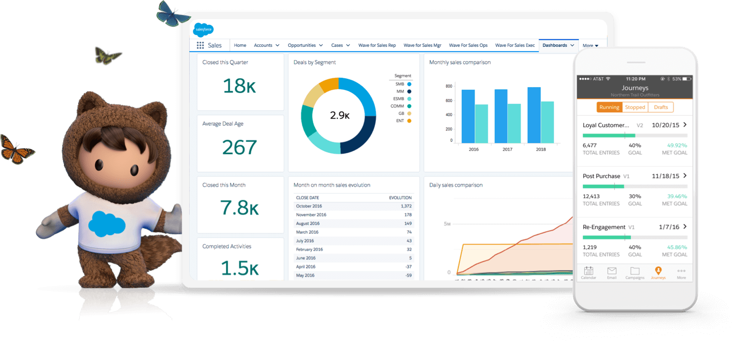 Salesforce And the Future of CRM