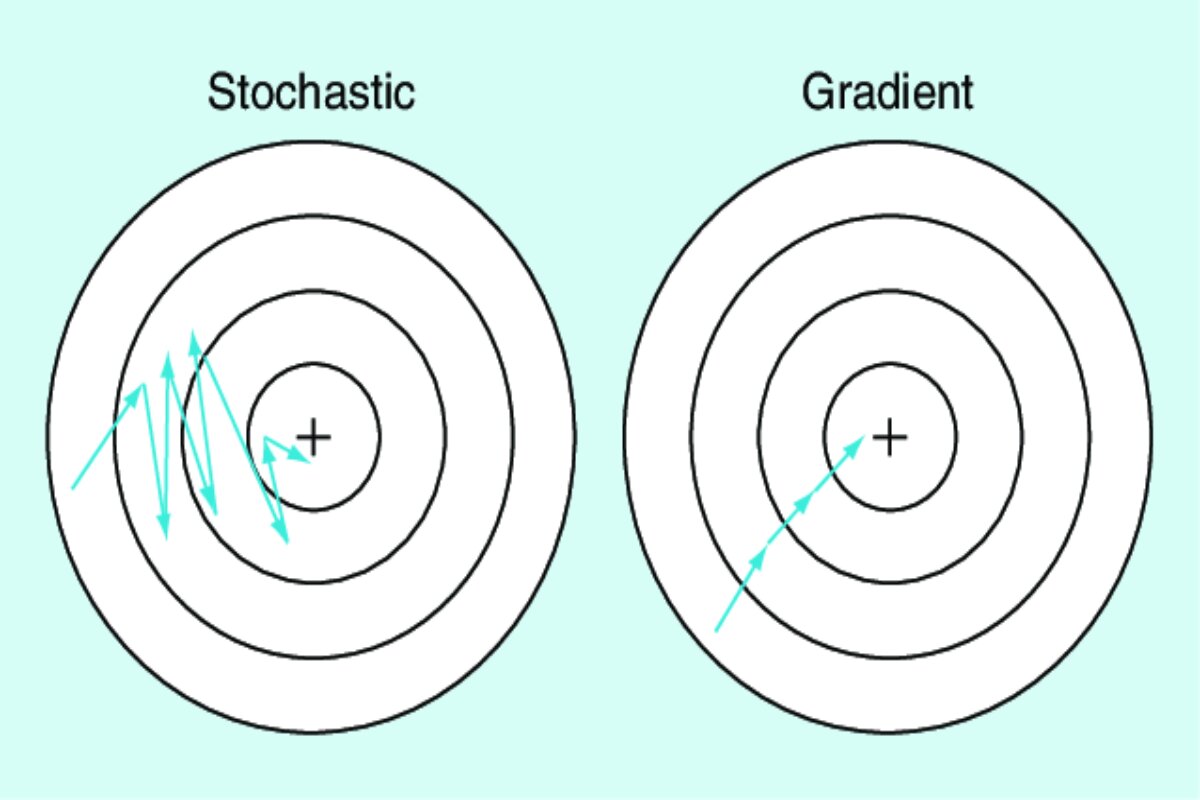 Efficient Optimi Mastering Stochastic Gradient Descent